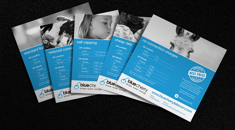 Blue Cherry Telecom - Design of 5 tariff cards to advertise different calling packages