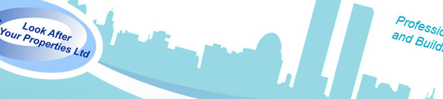 Look After Your Properties website Look After Your Properties website