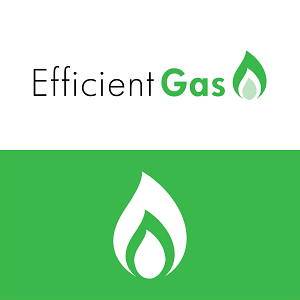 Efficient Gas Limited Logo & Branding